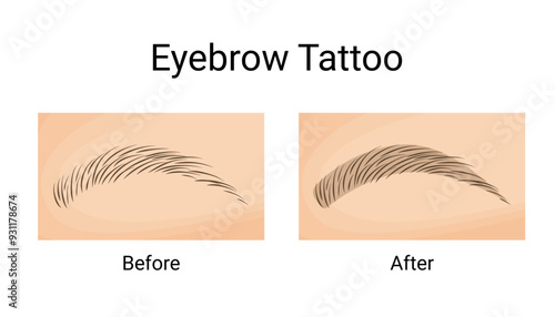 Powder Brows Tattoo Before and After. Vector illustration design.