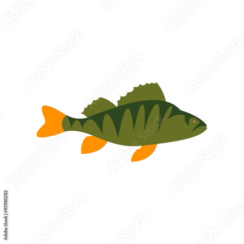 Vector illustration of fresh perch freshwater fish on white. For menu, label, recipe, product packaging. Freshwater food element. Action promotion and advertising. Caviar. EPS 10