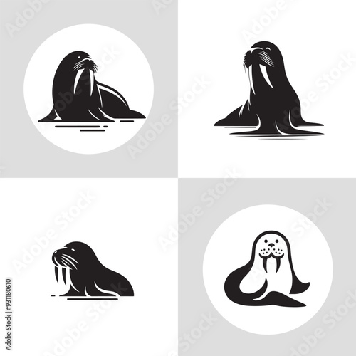 set of Walrus