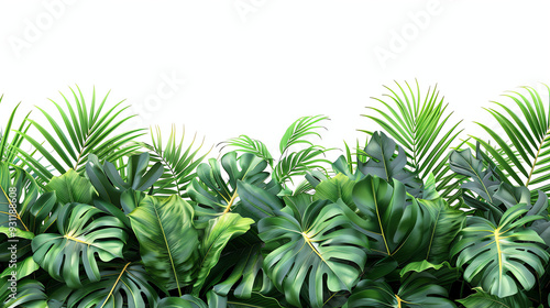 A border made of green leaves, including palm leaves and monstered.