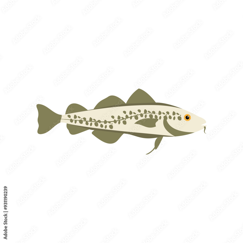 Vector illustration of fresh cod fish ocean fish on white. For menu, label, recipe, product packaging. Oceanfood design element. For action promotion and advertising, mockup. EPS 10 Vector illustration of fresh cod fish ocean fish on white. For menu, label, recipe, product packaging. Oceanfood design element. For action promotion and advertising, mockup. EPS 10