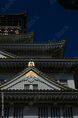 Osaka Castle