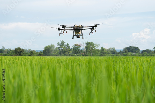 Photography Drone is flying over the rice filed