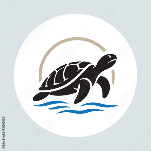 illustration of a turtle