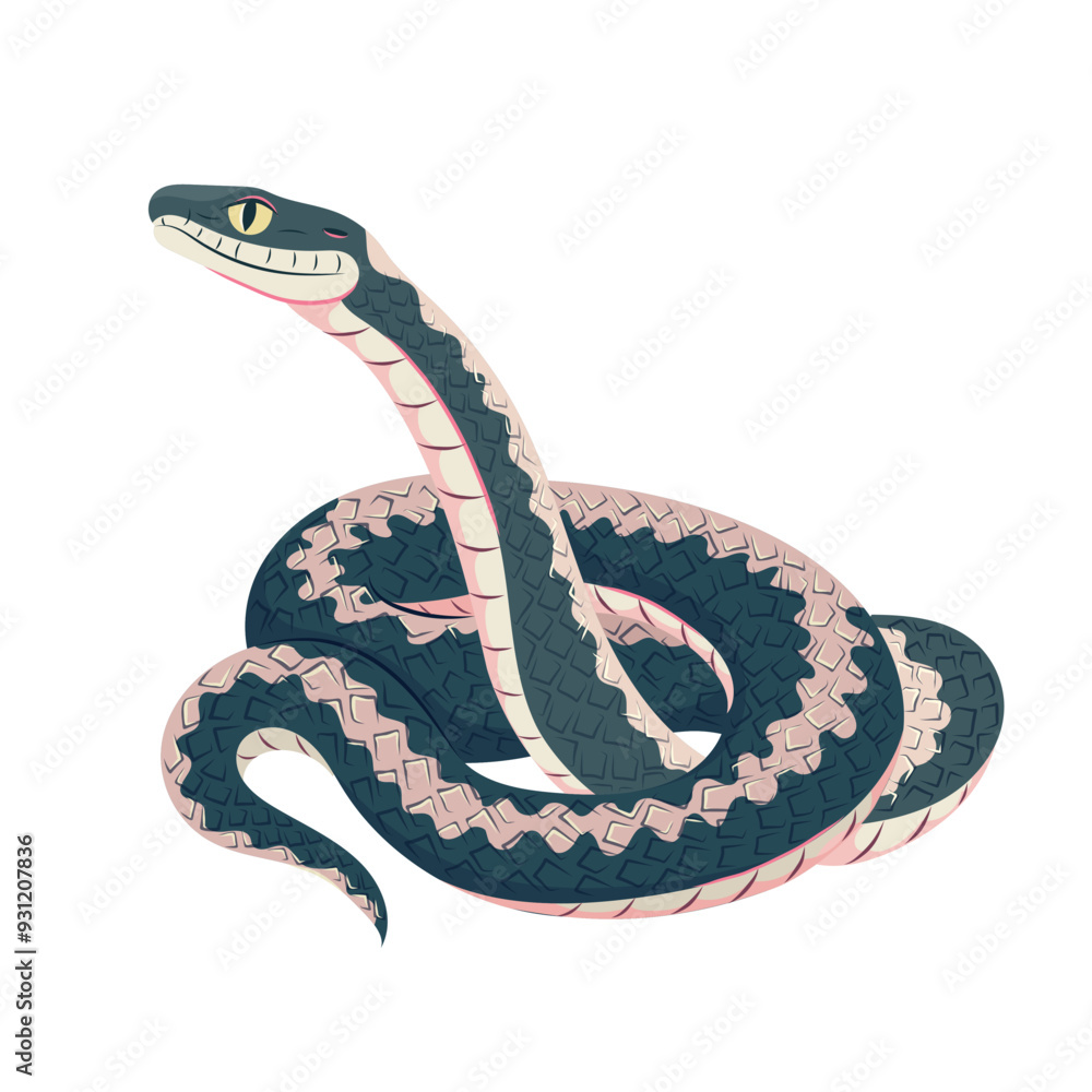 Obraz premium Cartoon pretty tropical snake with a pattern on the back. Vector illustration exotic beautiful coiled serpent isolated on white background. Symbol of the year design element.