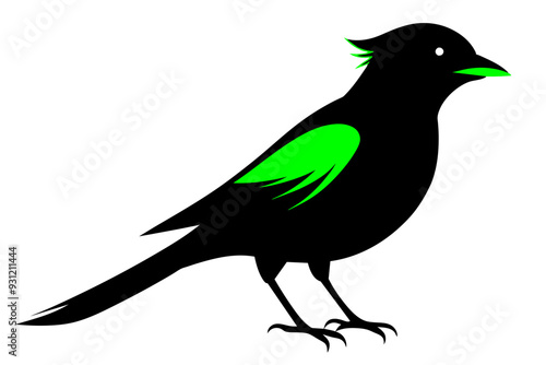 Beautiful green jay bird silhouette black icon vector art illustration  photo