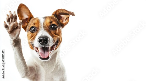 A happy dog with a big smile raises its paw as if to give a high five.