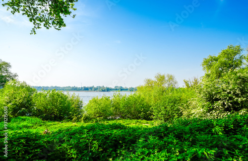 View of the banks of the Rhine near Rees. Landscape by the river. 