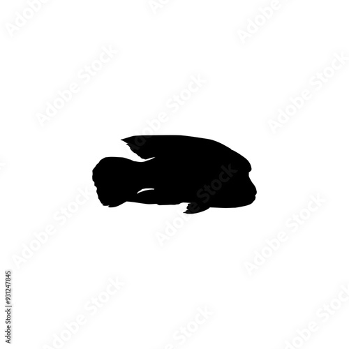 Silhouette of the The Humphead wrasse (Cheilinus undulatus), also known as the Māori wrasse, Napoleon wrasse, Napoleon fish. Flat Style, can use for Logo Gram, Animal Illustration, Pictogram, ect