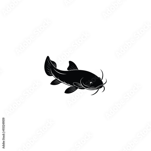 black and white wels catfish