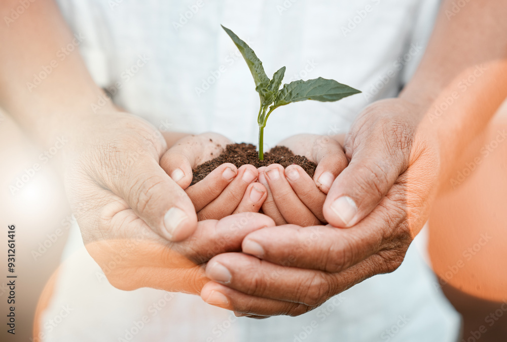 Person, child and hands with plant for growth, development and support in sustainable gardening. Nature, agriculture and people with care, ecology and support for children in future with green earth