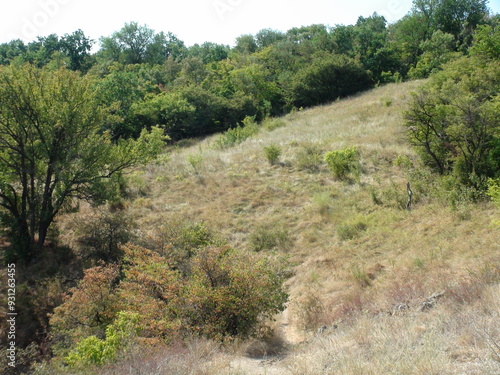 Panorama of the top of a rocky Dnieper hill covered with a blanket of steppe vegetation through which a narrow strip of mountain path winds.