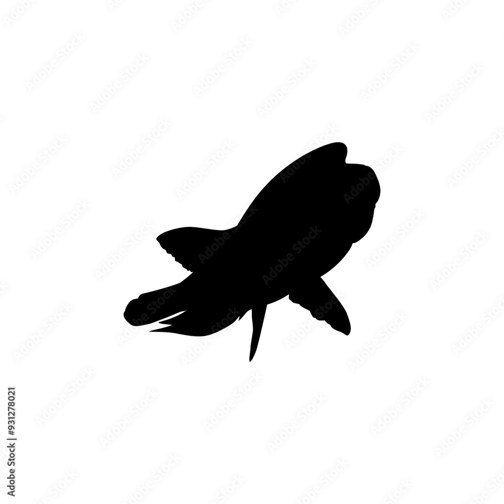 Silhouette of the The Humphead wrasse (Cheilinus undulatus), also known as the Māori wrasse, Napoleon wrasse, Napoleon fish. Flat Style, can use for Logo Gram, Animal Illustration, Pictogram, ect Silhouette of the The Humphead wrasse (Cheilinus undulatus), also known as the Māori wrasse, Napoleon wrasse, Napoleon fish. Flat Style, can use for Logo Gram, Animal Illustration, Pictogram, ect