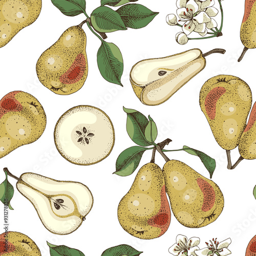 Pears seamless pattern vector illustration
