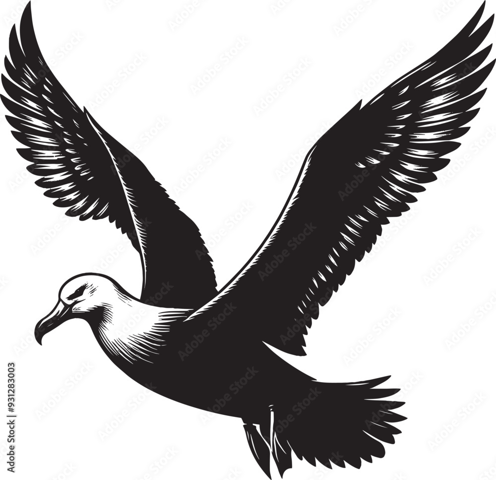 Obraz premium Beautiful albatross bird Silhouette isolated on white background Minimalist albatross vector shape