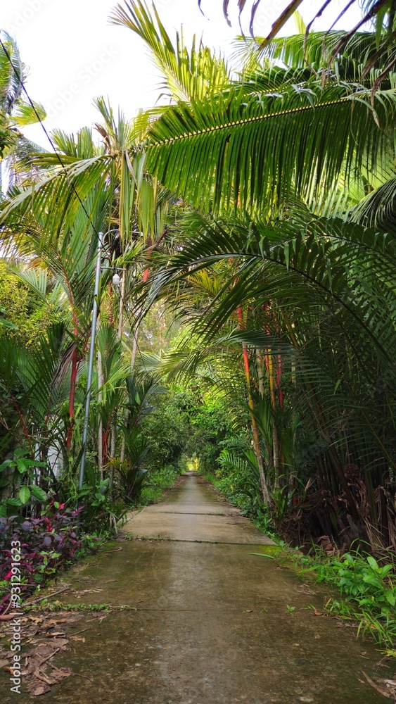 Narrow village street in countryside at Mekong Delta Vietnam.