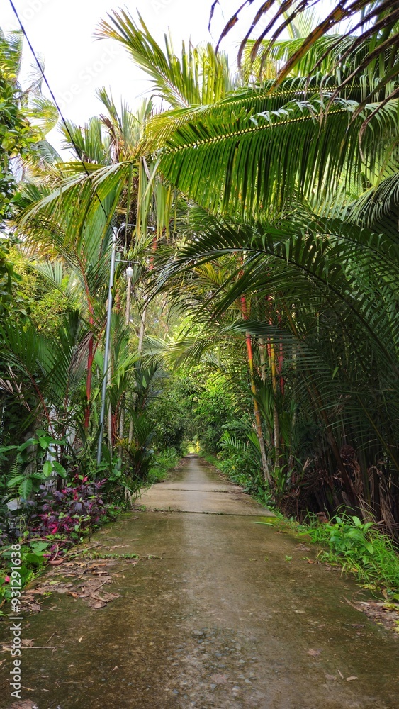 Narrow village street in countryside at Mekong Delta Vietnam. Narrow village street in countryside at Mekong Delta Vietnam.