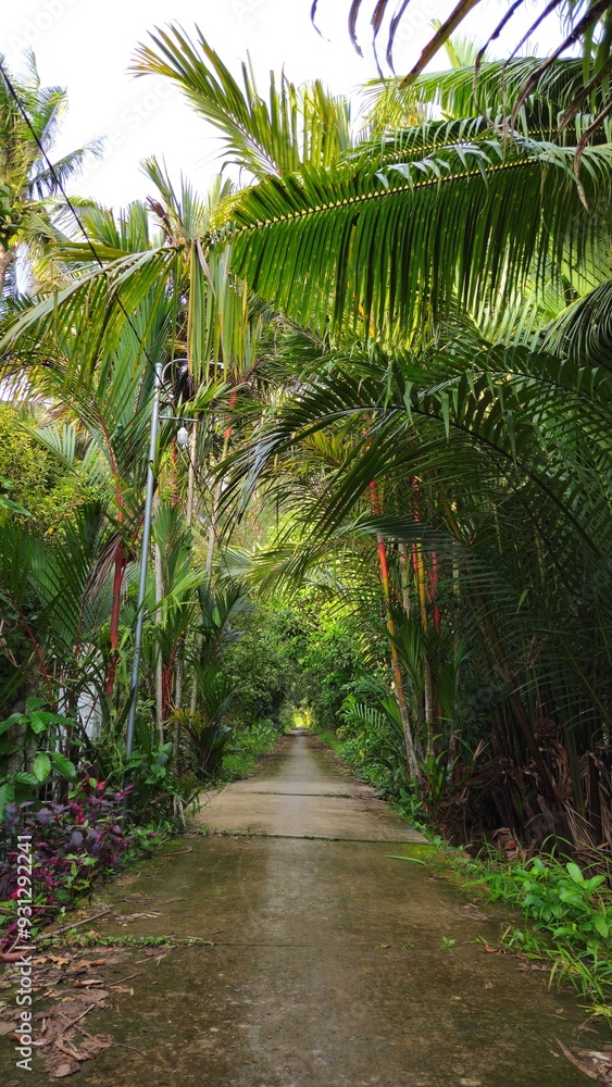 Obraz premium Narrow village path in countryside at Mekong Delta Vietnam.
