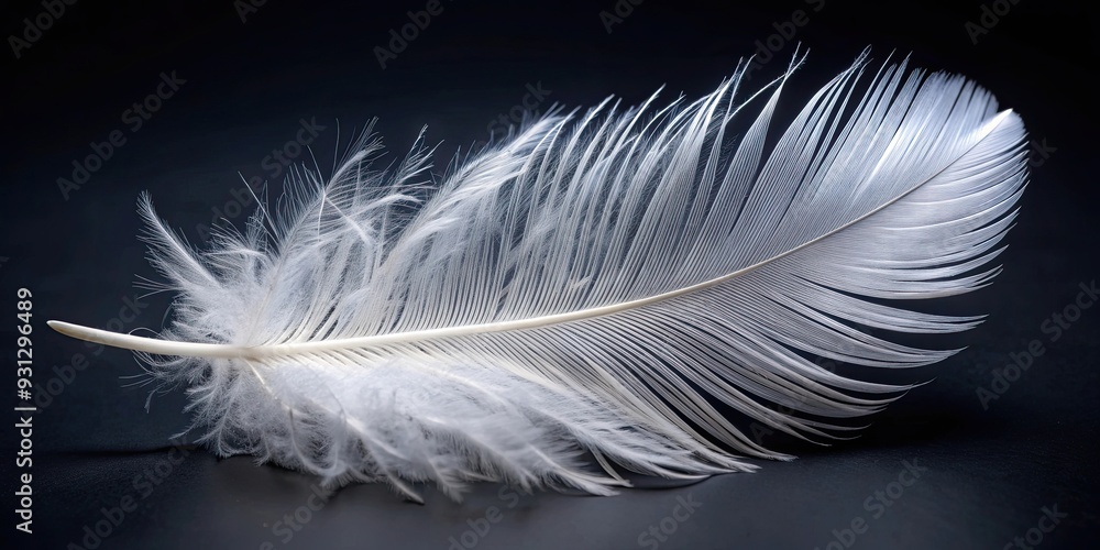 Close up of a single delicate white feather on a dark background, feather, soft, delicate, purity, isolated, light, ethereal Close up of a single delicate white feather on a dark background, feather, soft, delicate, purity, isolated, light, ethereal