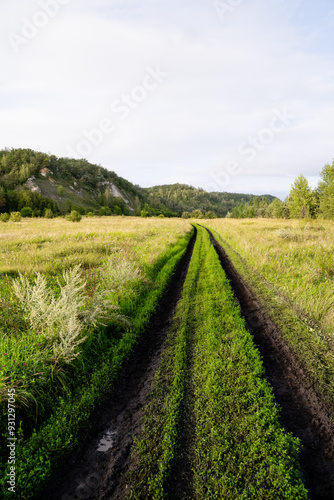 A winding dirt road stretches through a vibrant field filled with lush green plants, creating a natural and picturesque scene in the landscape that captures the essence of rural beauty