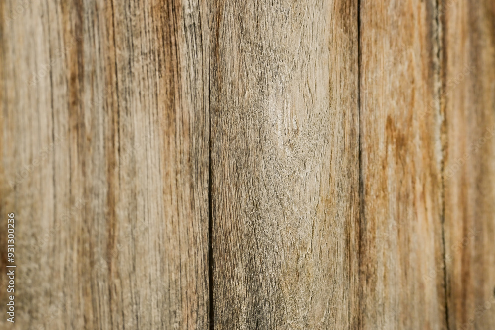Old teakwood door -3 Old teakwood door -3