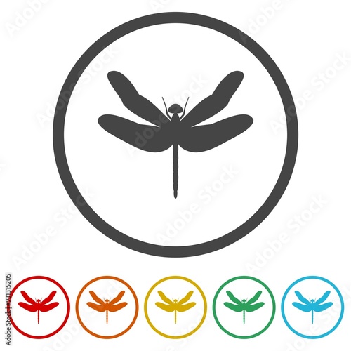 Beautiful icon dragonfly. Set icons in color circle buttons