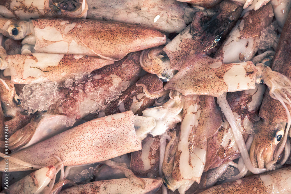 Naklejka premium Fresh Squid Pile on Store Counter