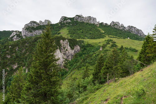 A view to the green Chiemgau nature while hiking 