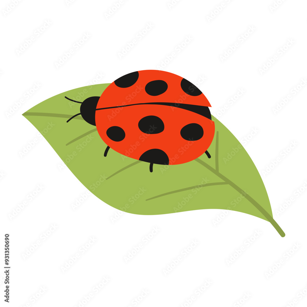 ladybug on a leaf ladybug on a leaf