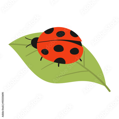 ladybug on a leaf