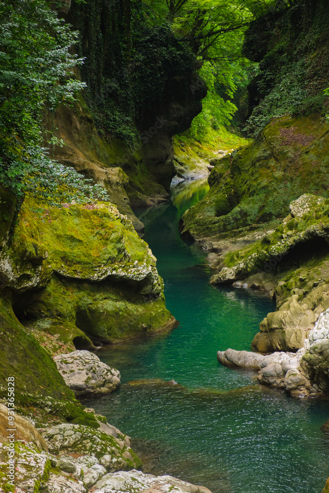 Naklejka premium River in Martvili Canyon in Georgia