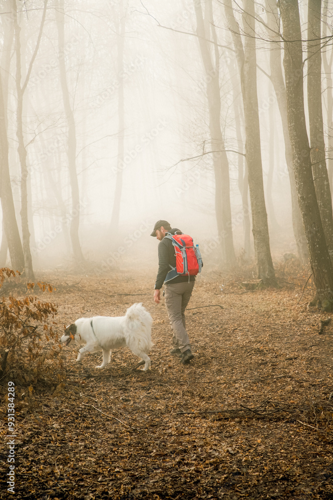 happy dog and owner in foggy forest happy dog and owner in foggy forest