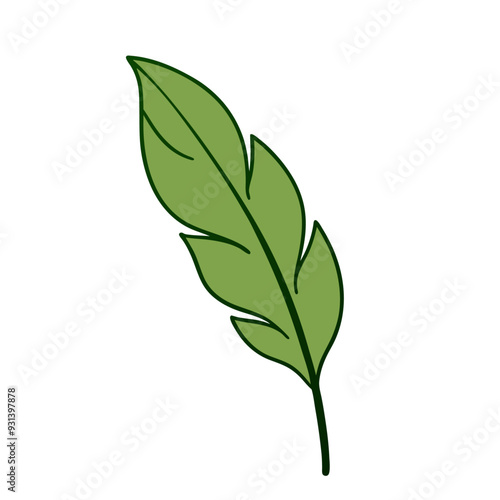 Banana palm tropical leaf palm leaves branch exotic plant jungle and rainforest vector cartoon (5)