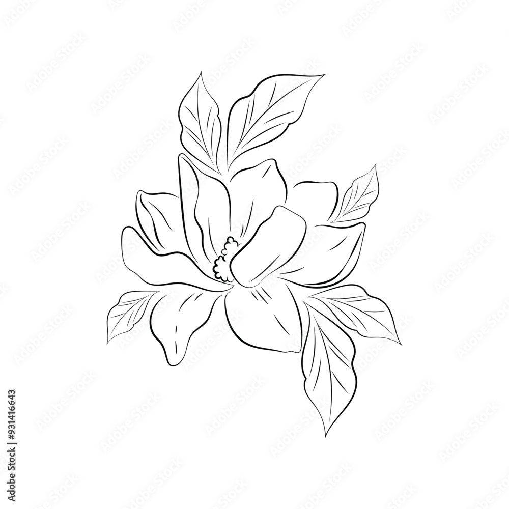 Vector Illustration Flower Line Art Vector Illustration Flower Line Art