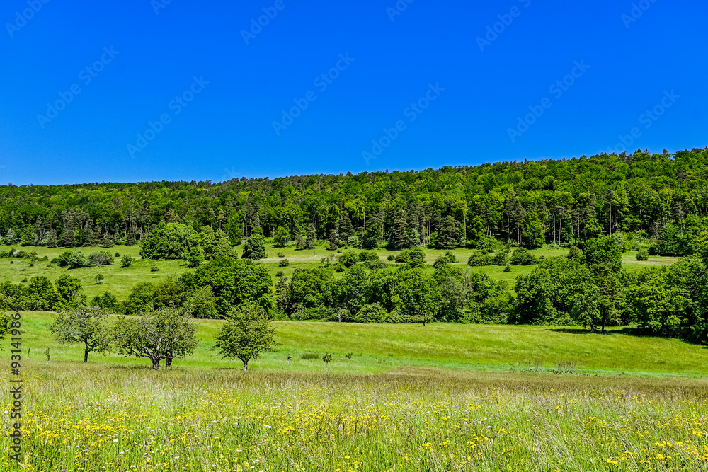 Fototapeta premium Dorf Blauen, Blauen, Hügelkette, Wanderweg, Landwirtschaft, Wiesen, Felder, Obstbäume, Blaueberg, Blauenpass, Hügel, Wald, Waldweg, Laufental, Birstal, Baselland, Sommer, Schweiz