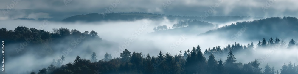 A misty, foggy forest with trees and a cloudy sky. The atmosphere is calm and serene, with the mist adding a sense of mystery and tranquility to the scene A misty, foggy forest with trees and a cloudy sky. The atmosphere is calm and serene, with the mist adding a sense of mystery and tranquility to the scene