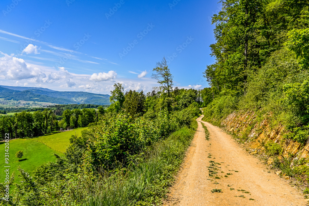 Dorf Blauen, Blauen, Wanderweg, Landwirtschaft, Wiesen, Felder, Obstbäume, Blaueberg, Blauenpass, Hügel, Wald, Waldweg, Laufental, Birstal, Baselland, Sommer, Schweiz Dorf Blauen, Blauen, Wanderweg, Landwirtschaft, Wiesen, Felder, Obstbäume, Blaueberg, Blauenpass, Hügel, Wald, Waldweg, Laufental, Birstal, Baselland, Sommer, Schweiz
