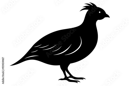 Beautiful bird quil silhouette black icon vector art illustration photo