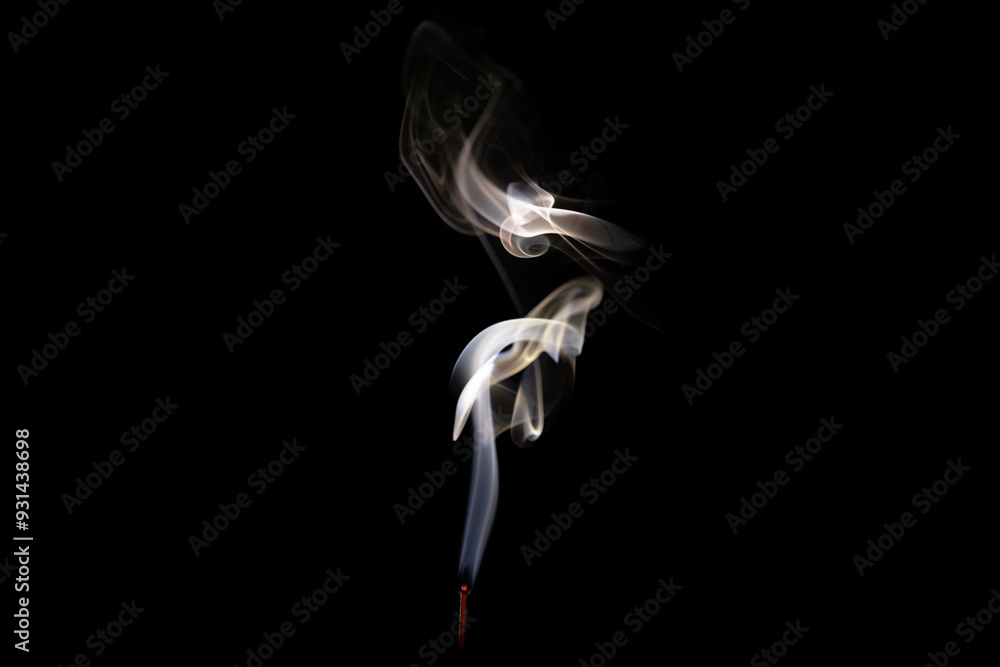 Fototapeta premium The constantly changing form of smoke