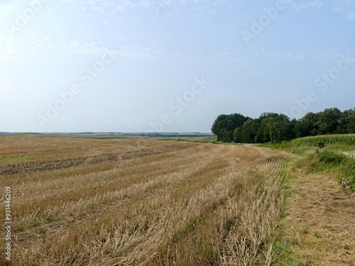 Hiking in the Argonne forest in France photo