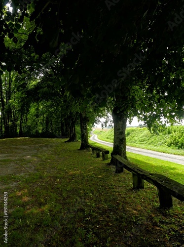 Hiking in the Argonne forest in France - View of the religious monument - Côte à Vignes - Sainte Menehould commemoration photo