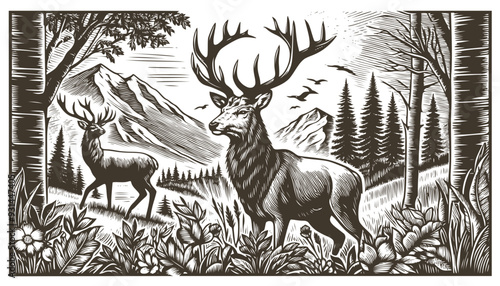 Vector illustration of a deer in the forest in style of woodcut engraving
