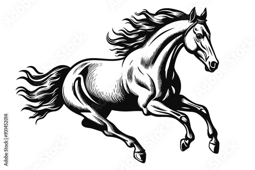 Wild running horse sketch, black line art style vector illustration isolated on white background.