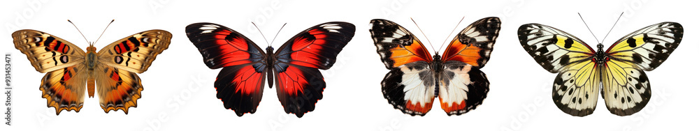 Fototapeta premium Butterfly png cut out element set