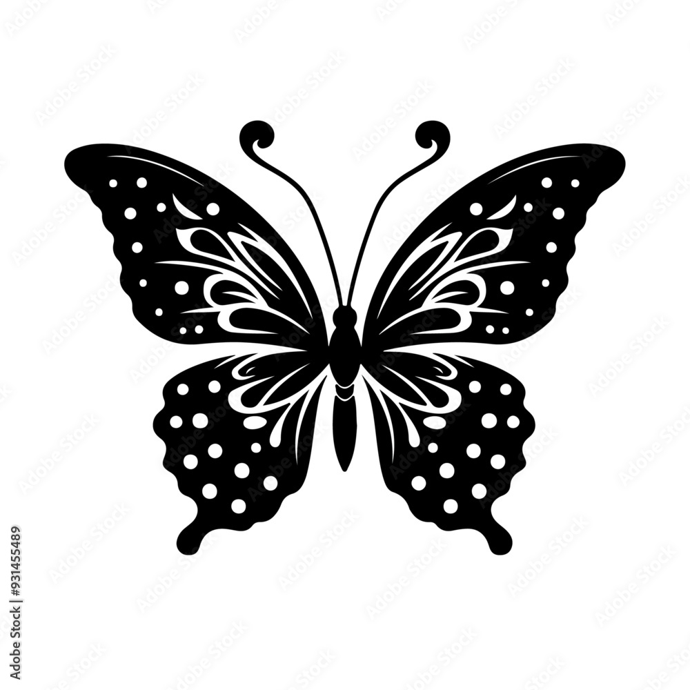 Butterfly vector Butterfly vector