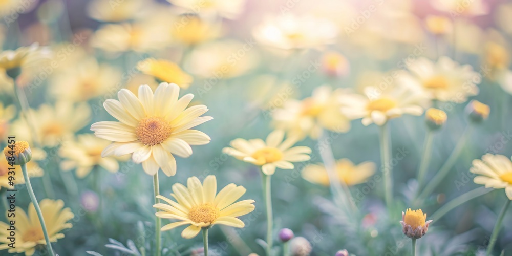 Fototapeta premium Vibrant yellow daisy flowers densely packed in a full frame, creating a bright, cheerful, and warm natural background with soft focus and gentle texture.