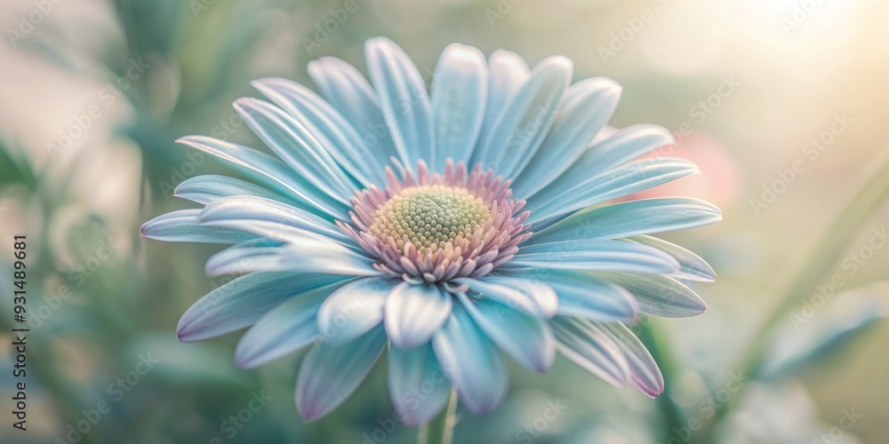 Fototapeta premium Vibrant blue petals of a delicate daisy flower gently unfold against a crisp white background, showcasing intricate details and soft, natural textures.