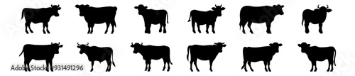 Cow silhouettes set, pack of vector silhouette design, isolated background