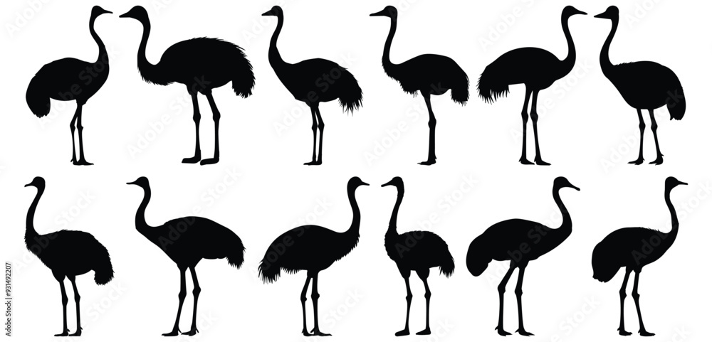 Obraz premium Ostrich silhouettes set, bird pack of vector silhouette design, isolated background