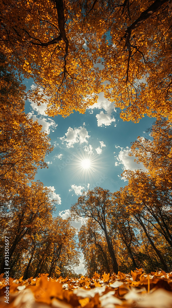 Fototapeta premium beautiful vertical wallpapers and screensavers for smartphone